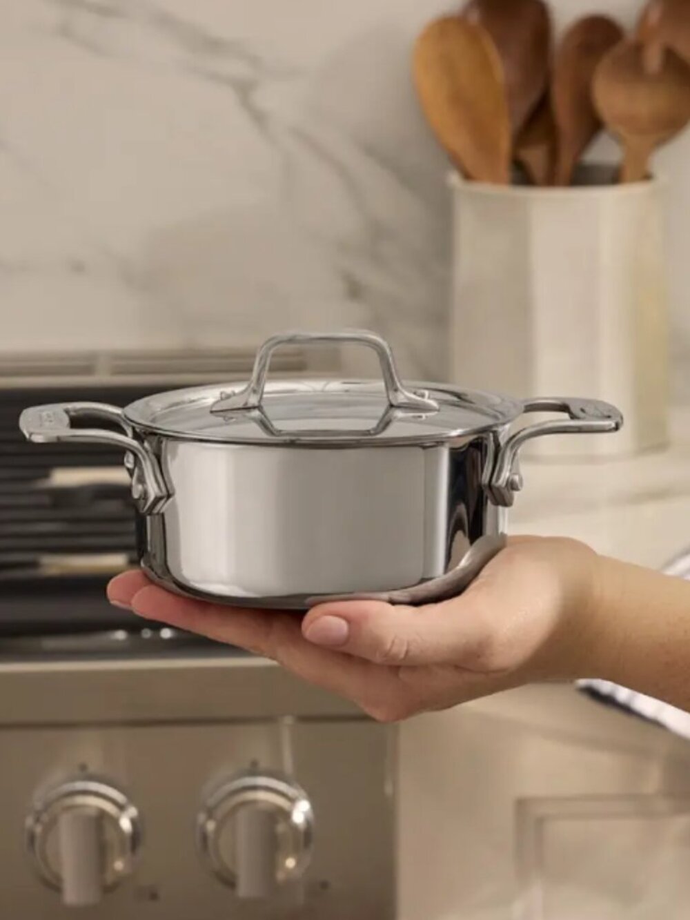 All-Clad Stainless Steel Covered Mini Dutch Oven | 0.5 Quart | NWT